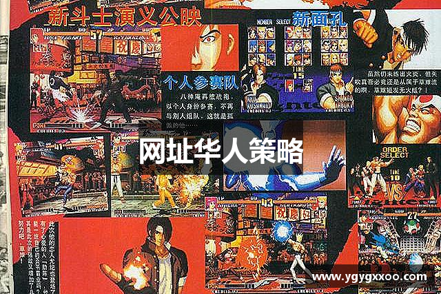 网址华人策略